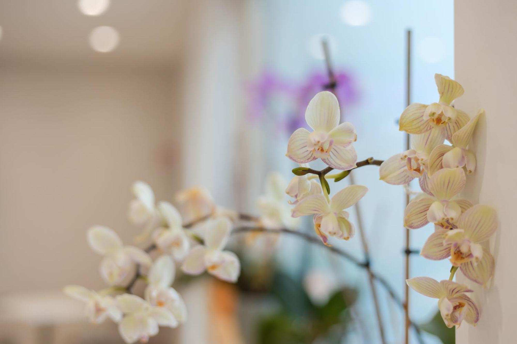 Villa Eirene リカーディ エクステリア 写真
